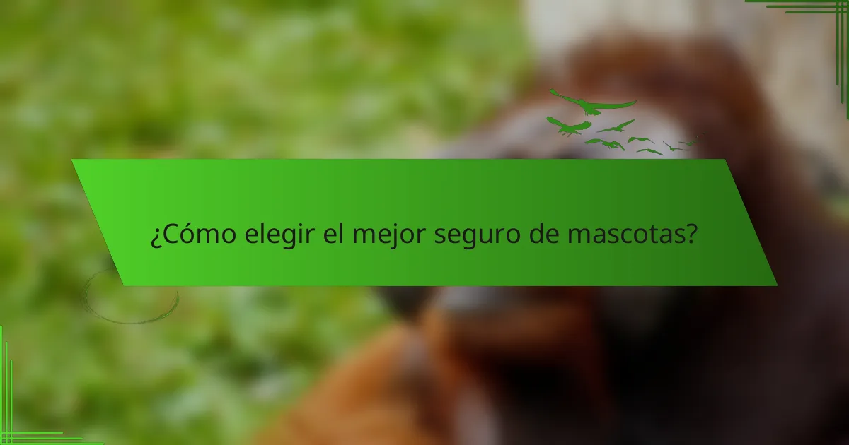 ¿Cómo elegir el mejor seguro de mascotas?