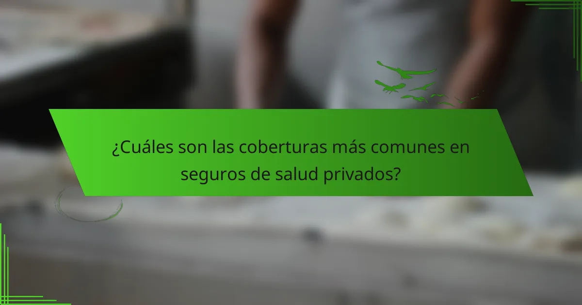 ¿Cuáles son las coberturas más comunes en seguros de salud privados?