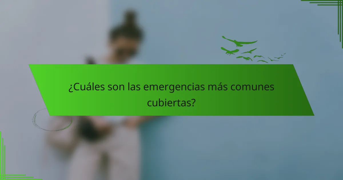 ¿Cuáles son las emergencias más comunes cubiertas?