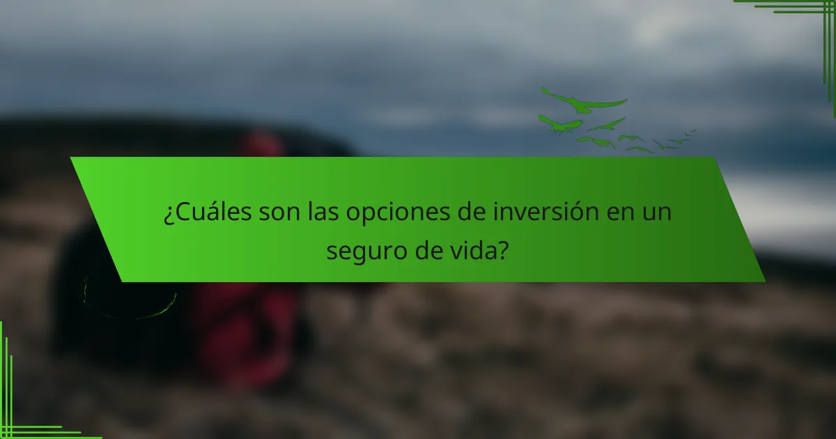 ¿Cuáles son las opciones de inversión en un seguro de vida?