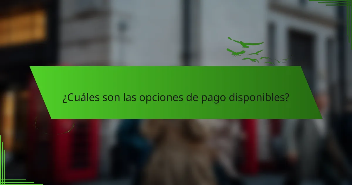¿Cuáles son las opciones de pago disponibles?