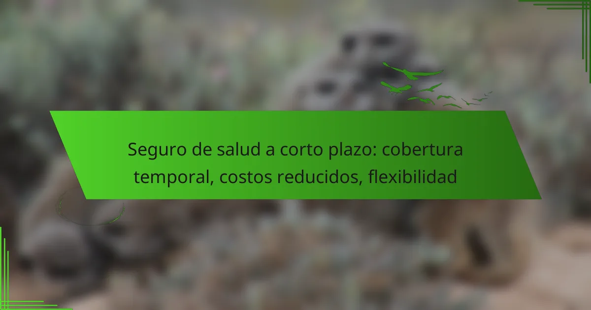 Seguro de salud a corto plazo: cobertura temporal, costos reducidos, flexibilidad