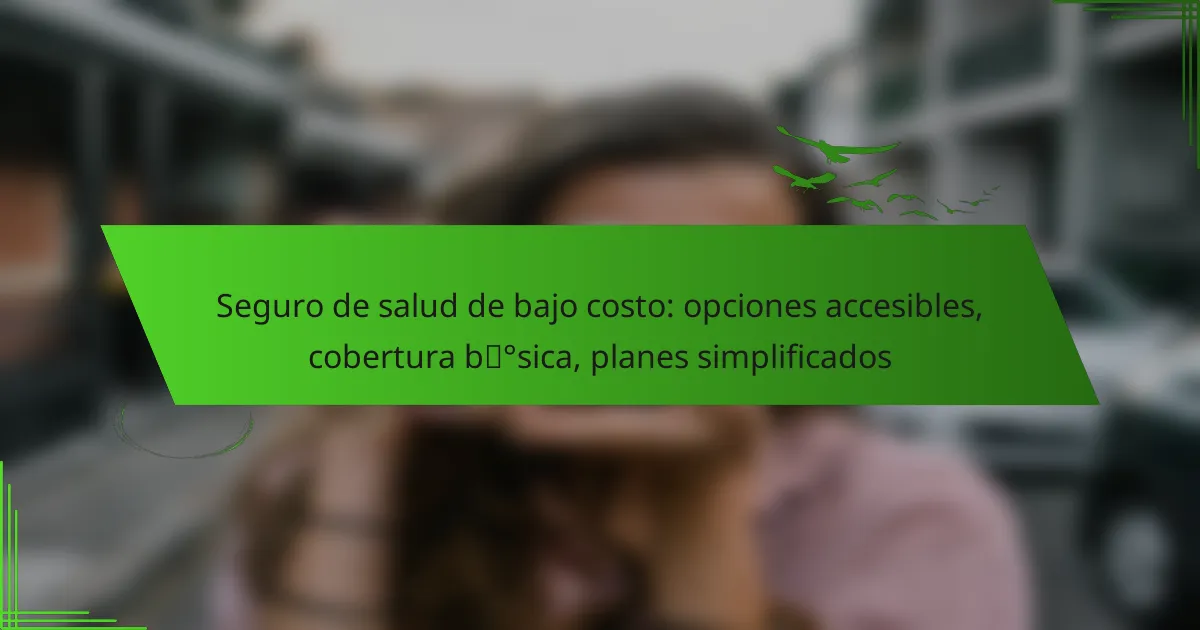 Seguro de salud de bajo costo: opciones accesibles, cobertura básica, planes simplificados