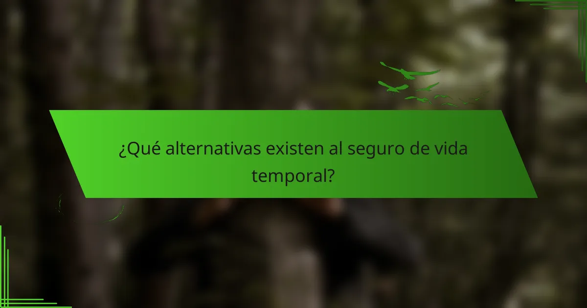 ¿Qué alternativas existen al seguro de vida temporal?