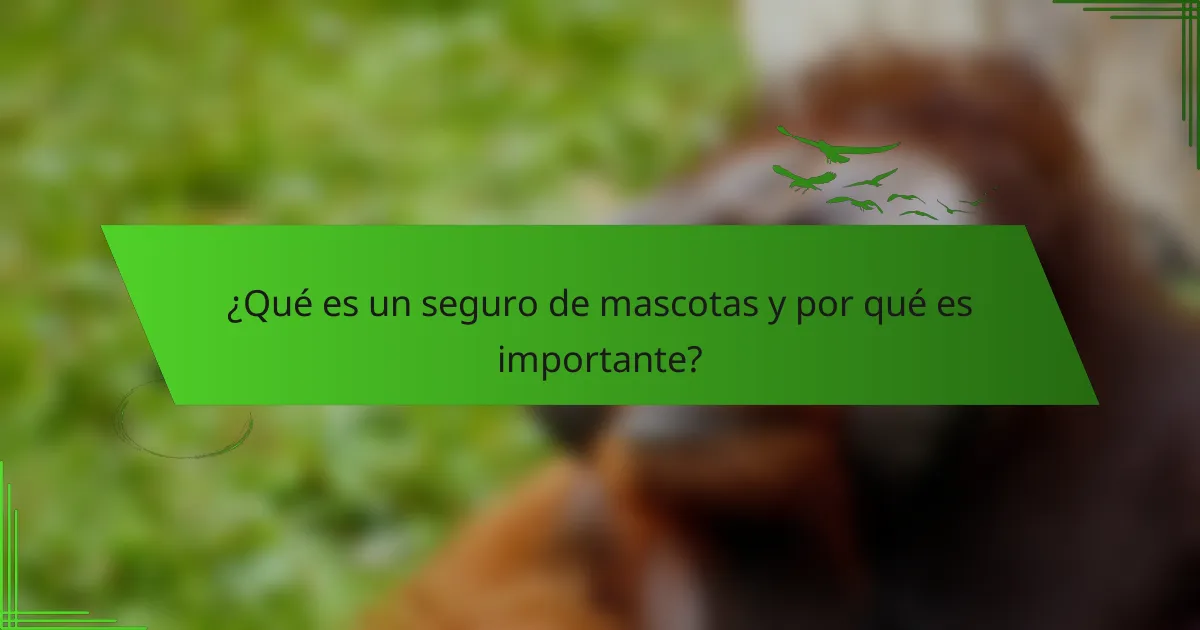 ¿Qué es un seguro de mascotas y por qué es importante?