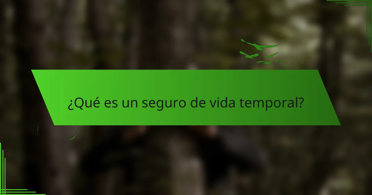 ¿Qué es un seguro de vida temporal?