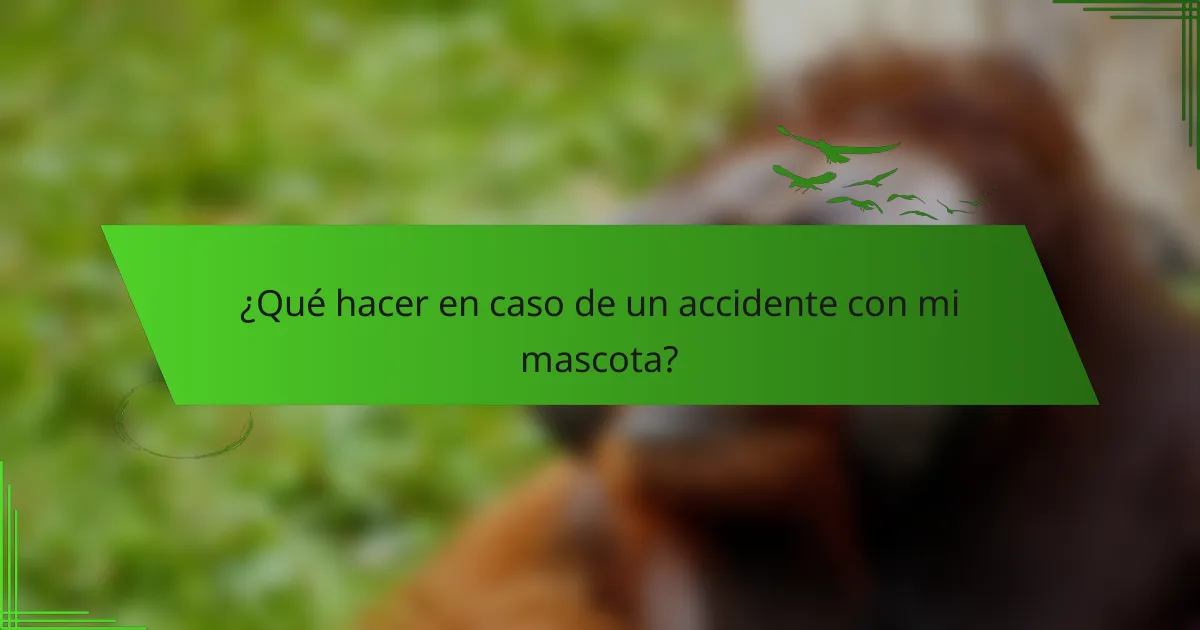¿Qué hacer en caso de un accidente con mi mascota?