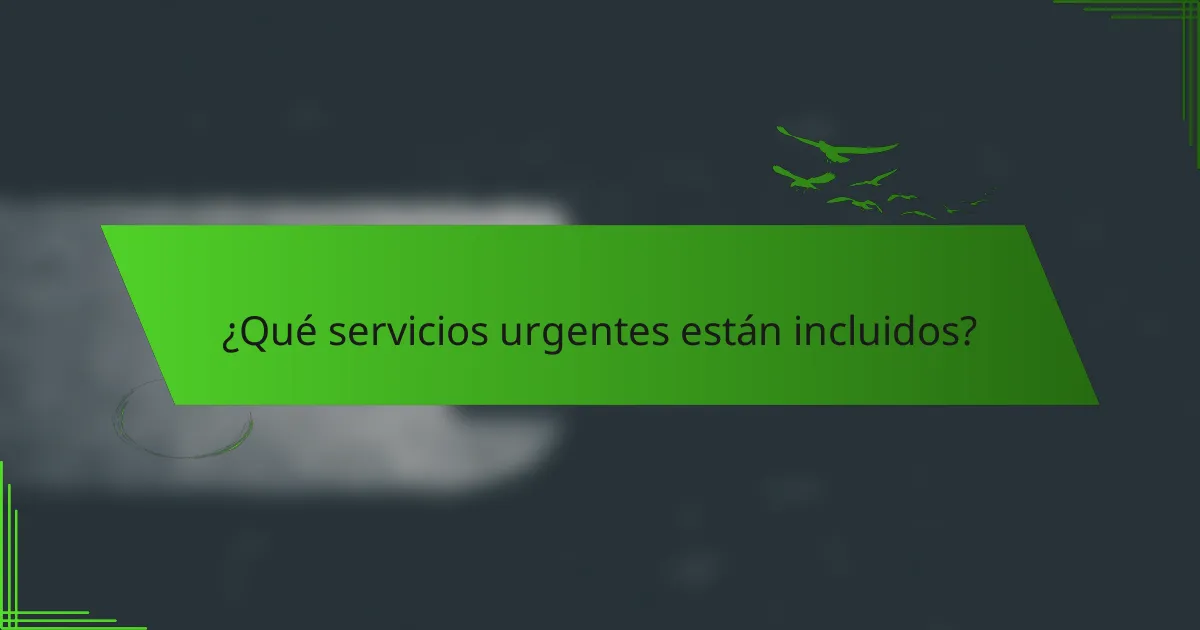 ¿Qué servicios urgentes están incluidos?
